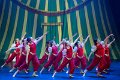 Mini Stars Circus 3F  09